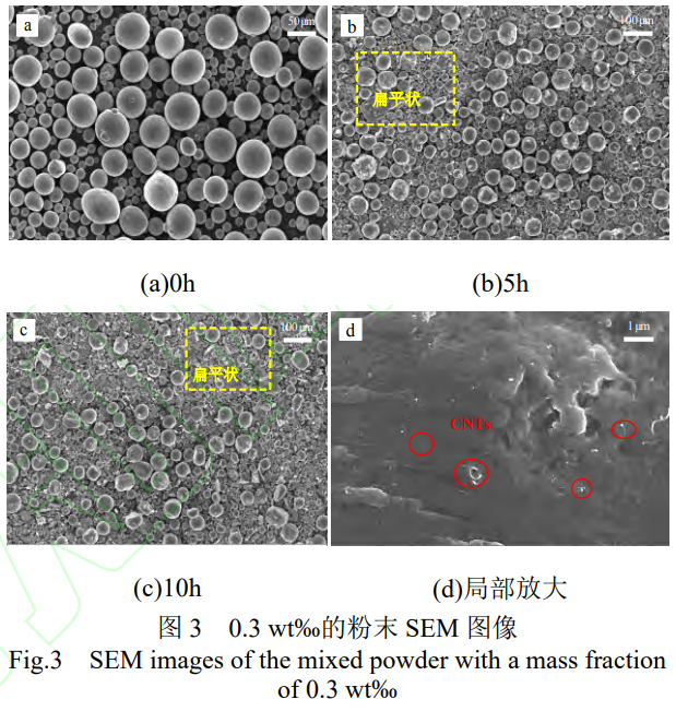 1764401669339767.png 3.png