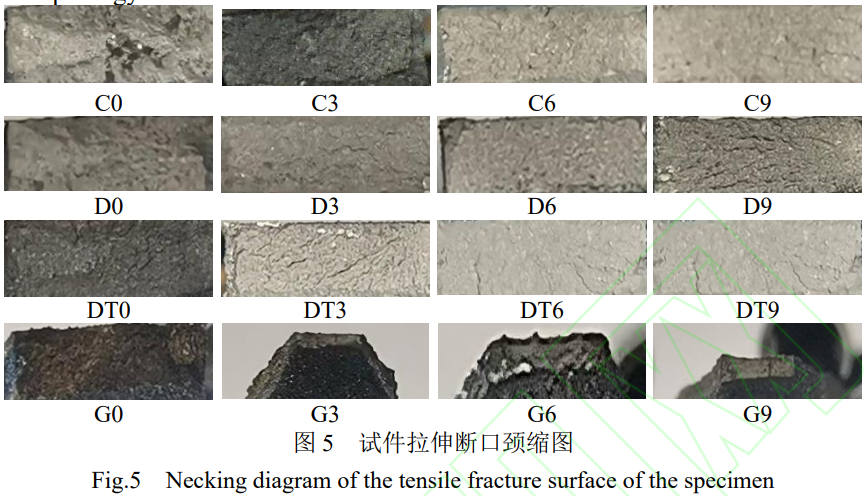 1764401688744252.png 5.png