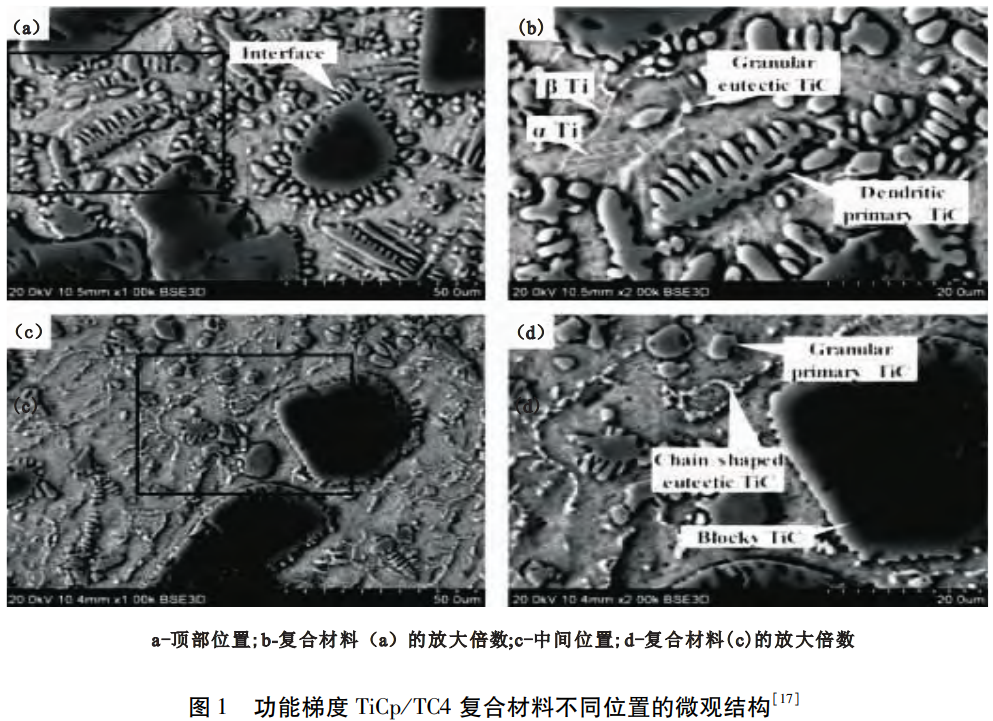 1764409497482085.png 1.png