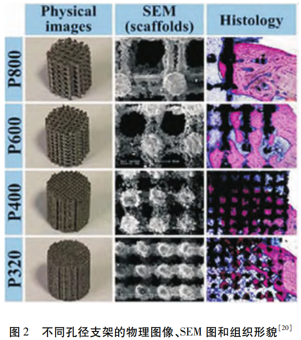 1764409512986867.png 2.png