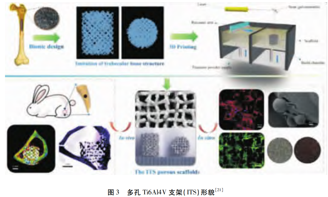 1764409520705698.png 3.png