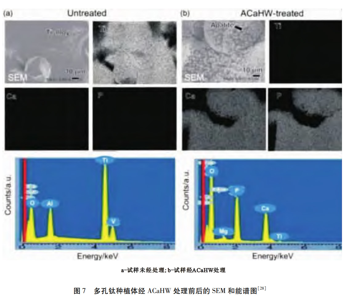 1764409565863381.jpg 7.jpg