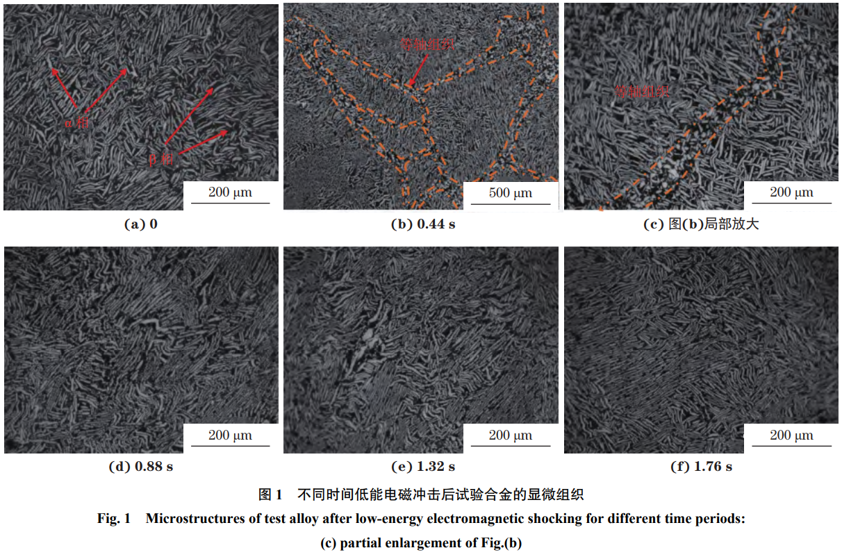 1764417964187072.png 截图20251129200239.png