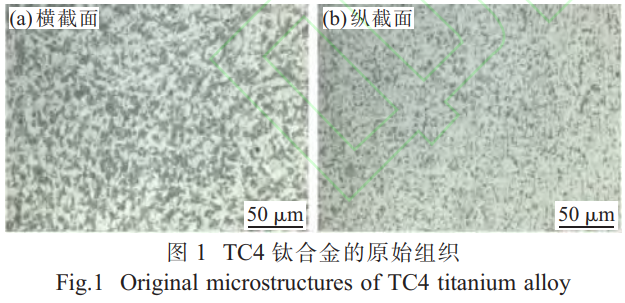 1765194382997866.png 截图20251208193311.png
