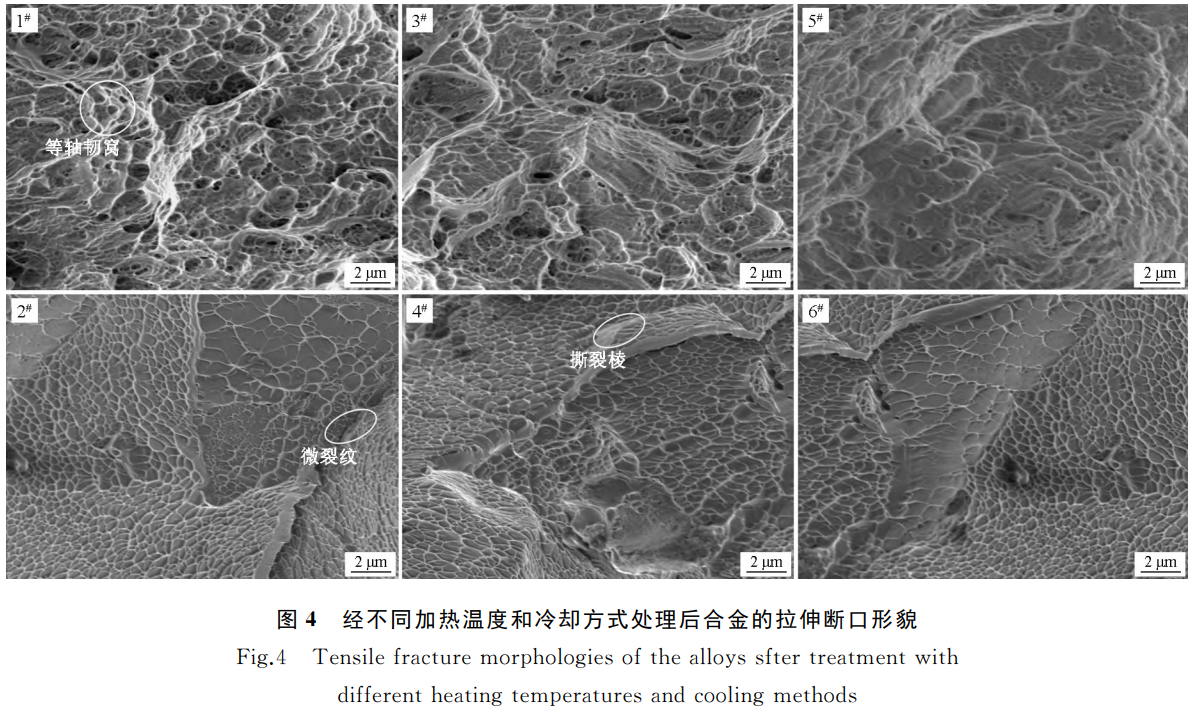 1765198135308422.png 截图20251208202809.png